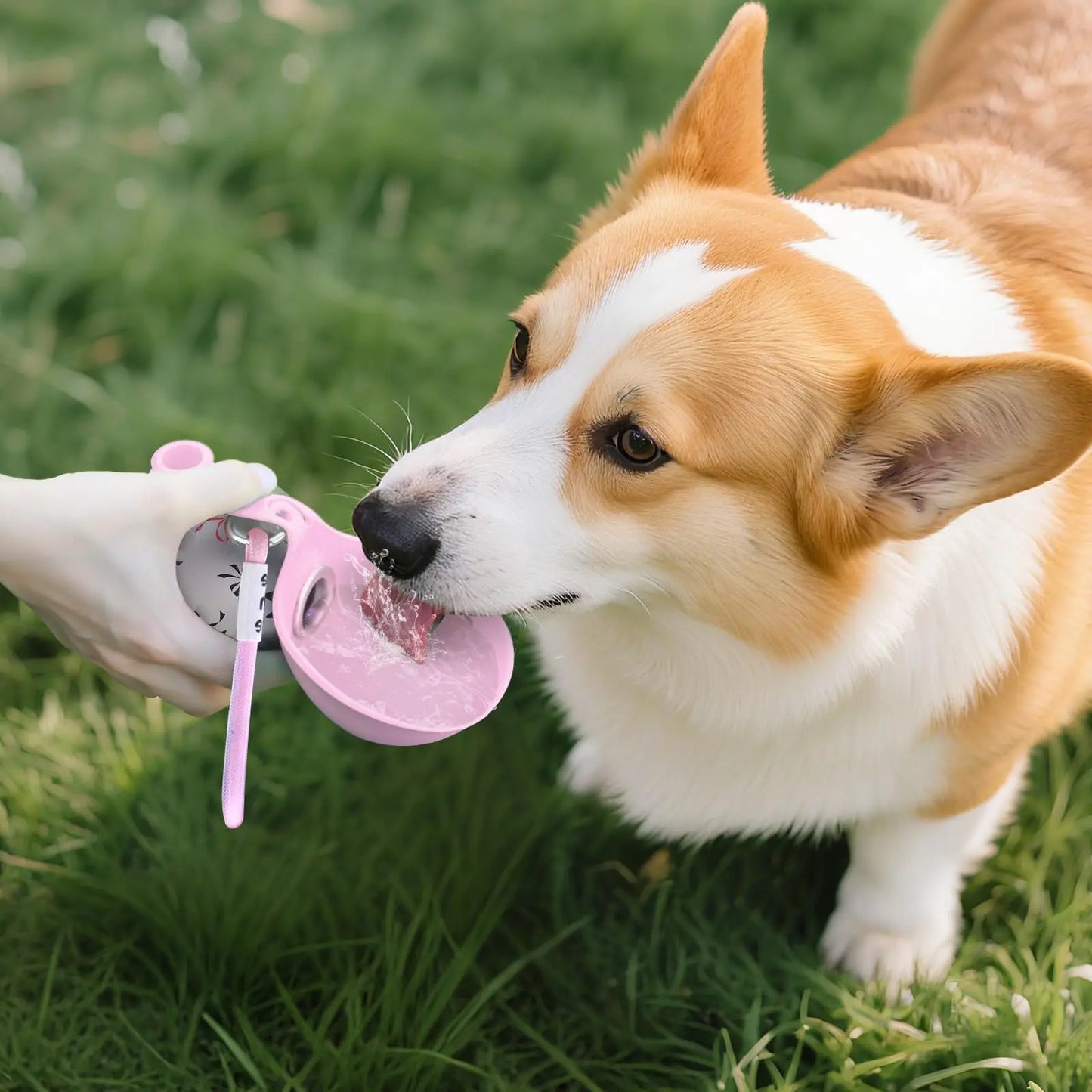 Pawhala Travel Dog Water Bottle