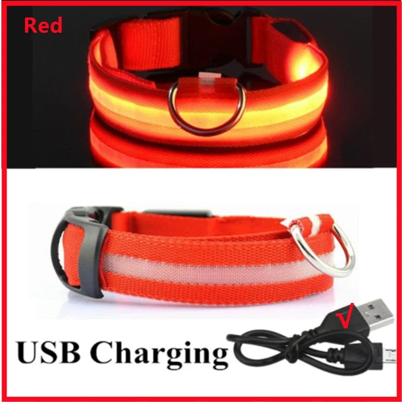 Pawhala LED Safety Dog Collar