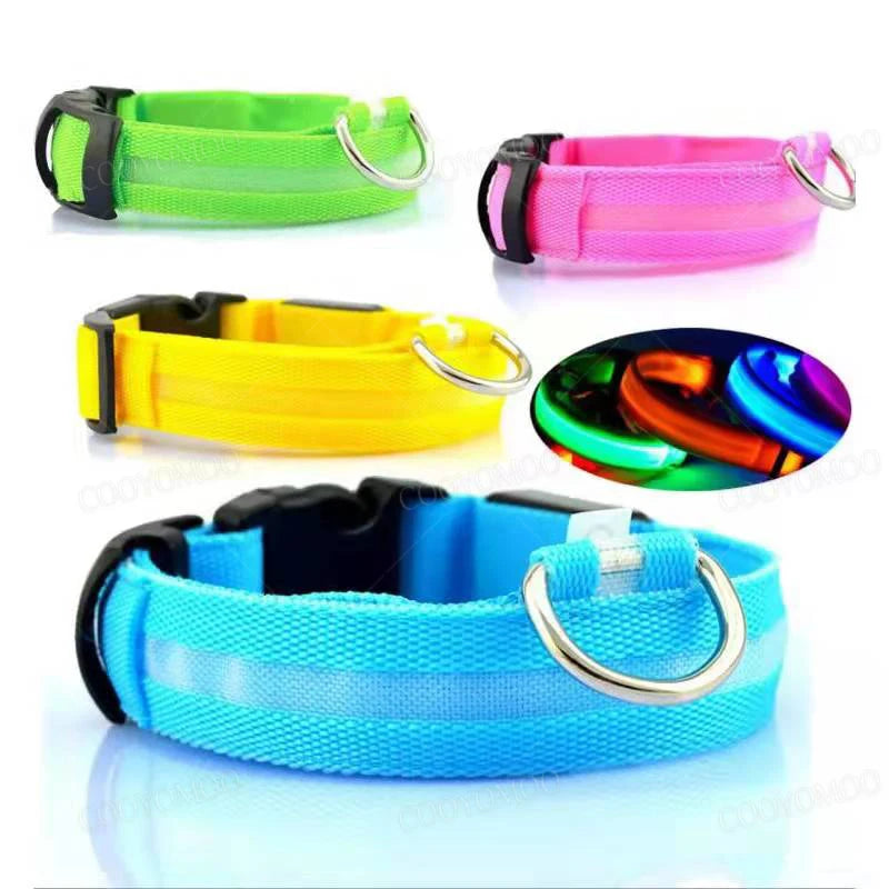 Pawhala LED Safety Dog Collar
