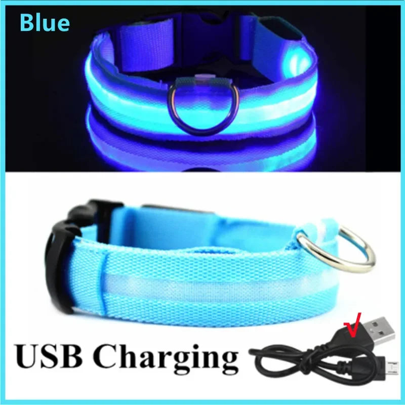 Pawhala LED Safety Dog Collar