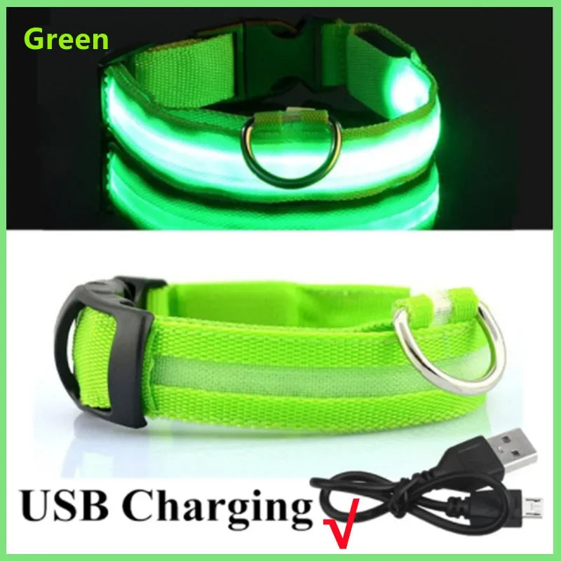 Pawhala LED Safety Dog Collar