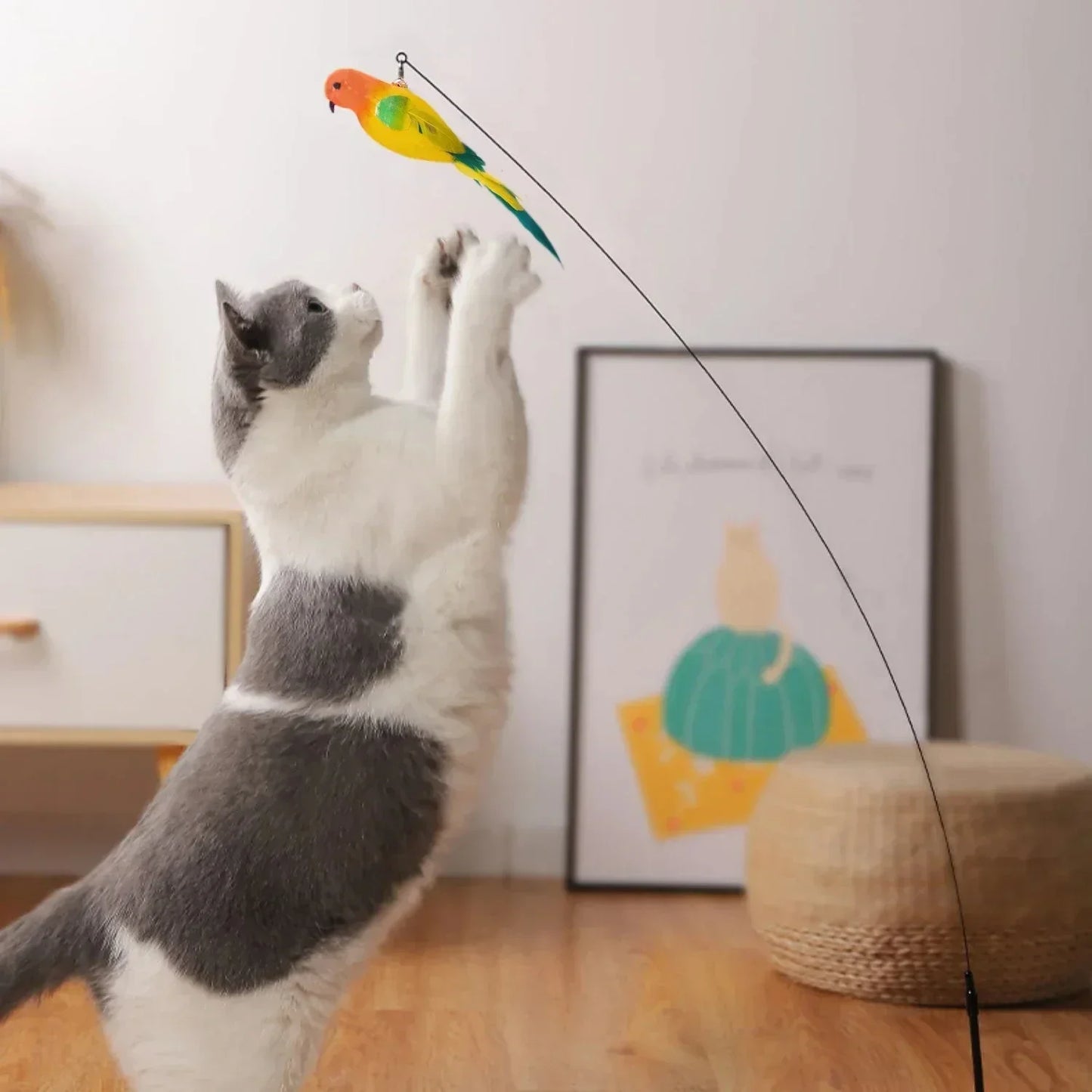 Pawhala Cat Feather Wand Toy