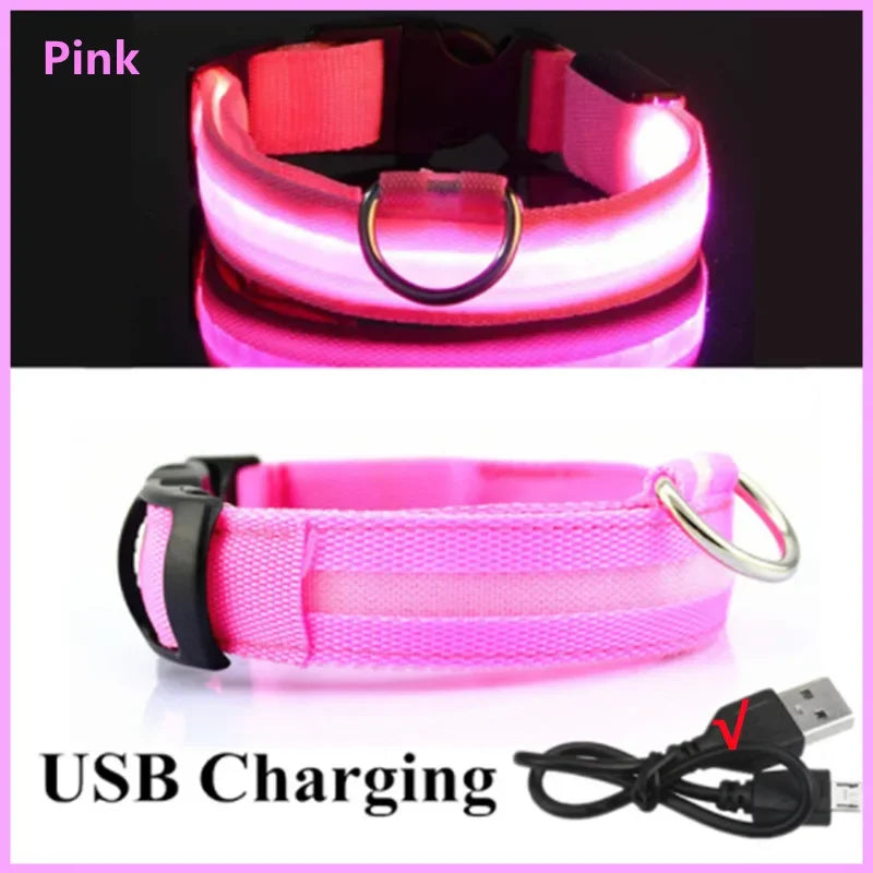 Pawhala LED Safety Dog Collar