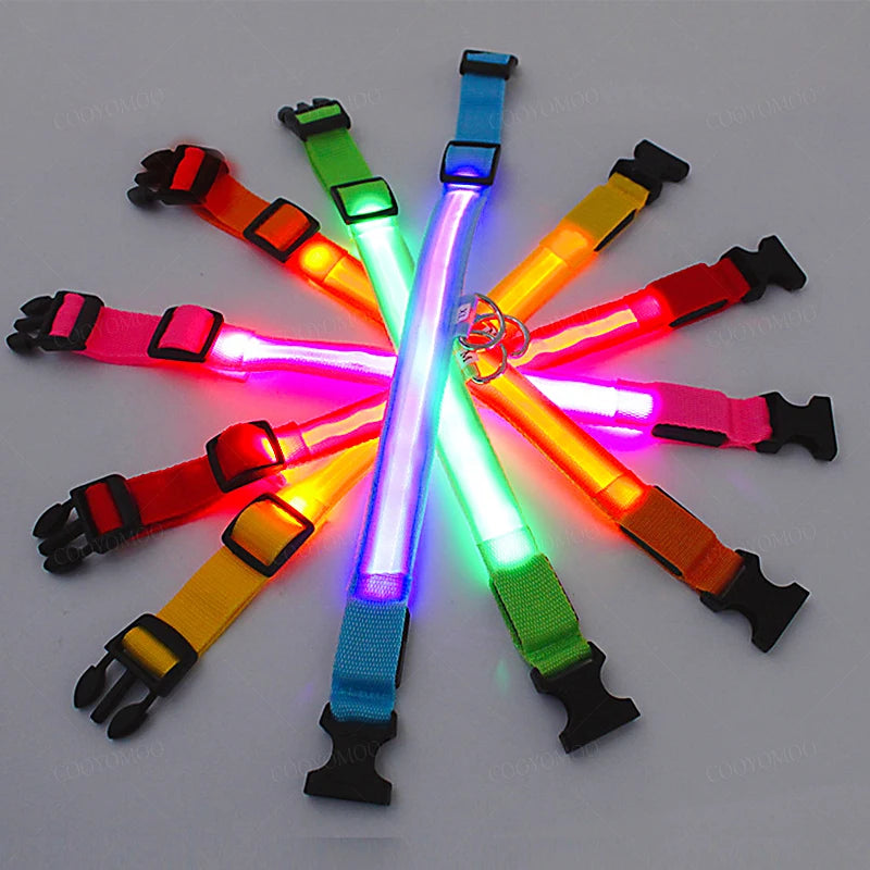 Pawhala LED Safety Dog Collar