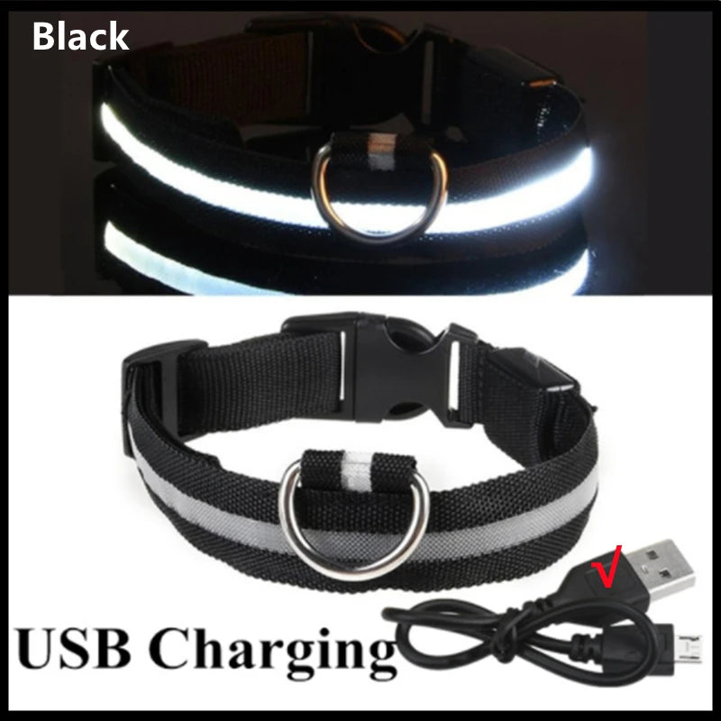 Pawhala LED Safety Dog Collar