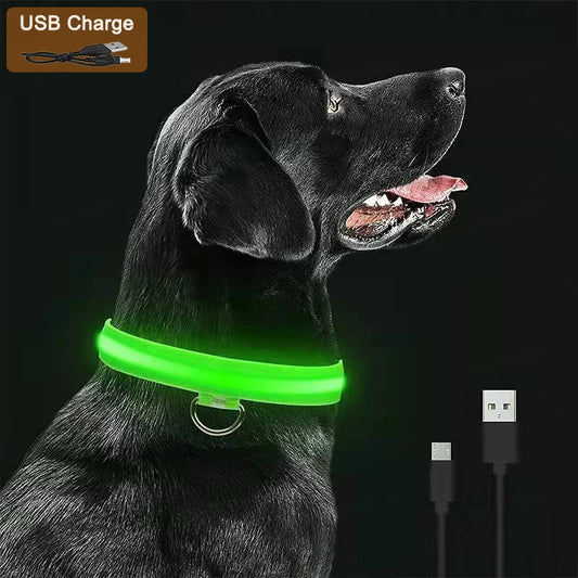 Pawhala LED Safety Dog Collar
